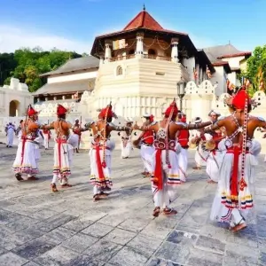 Explore The Local Way - Sri Lanka for 7 days with Aitken Spence Travel and discover unforgettable experiences - Photo 8