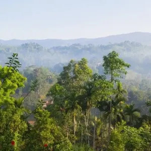 Explore Vivacious Sri Lanka for 8 days with Aitken Spence Travel and discover unforgettable experiences - Photo 7