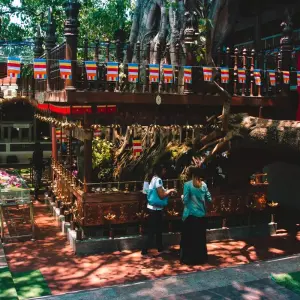 Explore Exclusive Tea Tour, Private Tour for 10 days with Aitken Spence Travel and discover unforgettable experiences - Photo 8