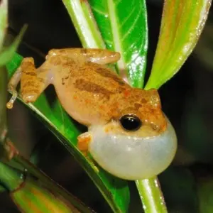 Explore Vivacious Sri Lanka for 8 days with Aitken Spence Travel and discover unforgettable experiences - Photo 8