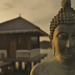 Explore Vivacious Sri Lanka for 8 days with Aitken Spence Travel and discover unforgettable experiences - Photo 10