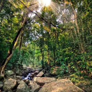 Explore The Vivid Green of Sri Lanka for 4 days with Aitken Spence Travel and discover unforgettable experiences - Photo 9