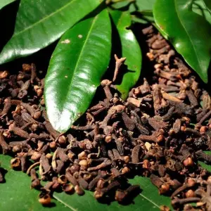 Explore A Glimpse of Culture for 3 days with Aitken Spence Travel and discover unforgettable experiences - Photo 10