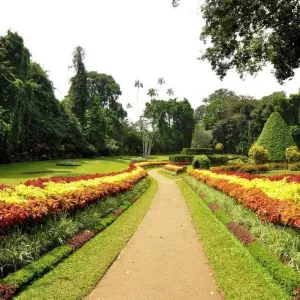 Explore A Glimpse of Culture for 3 days with Aitken Spence Travel and discover unforgettable experiences - Photo 11