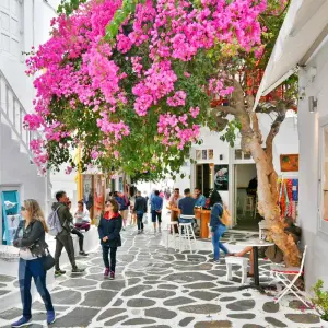 Explore Greece & Italy Tour from Athens, Mykonos and Santorini to Rome and Venice with 2 flights included for 13 days with Ajdinis and discover unforgettable experiences - Photo 6