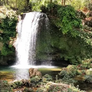 Explore Roar and Reverie: Corbett Tiger Reserve Escapade from Delhi for 3 days with Agora Voyages OPC Pvt Ltd and discover unforgettable experiences - Photo 3