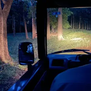 Explore Hubli to Badami, Aihole, Pattadakal & Anshi National Park Tour for 4 days with Agora Voyages OPC Pvt Ltd and discover unforgettable experiences - Photo 10