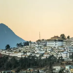 Explore Assam Explorer: Tea Gardens, Temples, and National Park Safari for 7 days with Agora Voyages OPC Pvt Ltd and discover unforgettable experiences - Photo 7