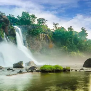 Explore Enchanting Kerala: Waterfalls, Tea Estates, and Backwater for 9 days with Agora Voyages OPC Pvt Ltd and discover unforgettable experiences - Photo 11