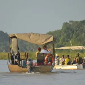 Explore Lifetime Experience in Nyerere National Park for 3 days with Akondo Adventures and discover unforgettable experiences - Photo 5