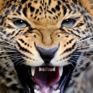 Explore 7 Days Best Great Migration River Crossing Safari for 7 days with Akondo Adventures and discover unforgettable experiences - Photo 5