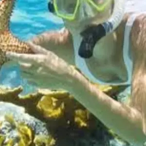 Explore SNORKELING TOUR ON GIFTUN ISLAND for 1 days with Alacart Travel Egypt and discover unforgettable experiences - Photo 3