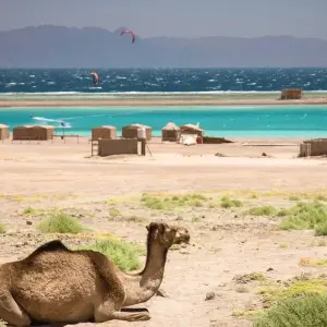 Explore SINAI & ST. CATHERIN for 6 days with Alacart Travel Egypt and discover unforgettable experiences - Photo 5