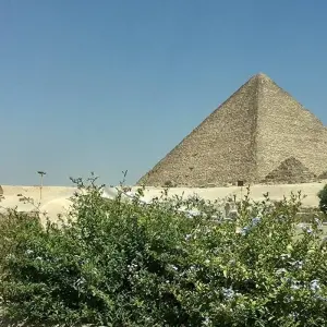 Explore Legends of Egypt for 8 days with Alacart Travel Egypt and discover unforgettable experiences - Photo 10