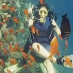 Explore SNORKELING TOUR ON GIFTUN ISLAND for 1 days with Alacart Travel Egypt and discover unforgettable experiences - Photo 5