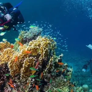 Explore RAS ABU GALUM AND BLUE LAGUOON for 1 days with Alacart Travel Egypt and discover unforgettable experiences - Photo 3