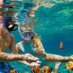 Explore PARADISE ISLAND FULL-DAY SNORKELING FROM HURGHADA for 1 days with Alacart Travel Egypt and discover unforgettable experiences - Photo 3