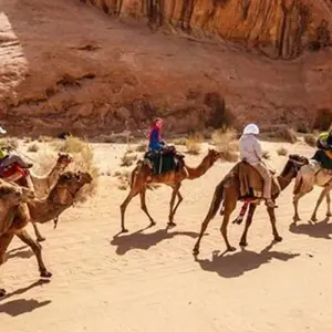 Explore RAS ABU GALUM AND BLUE LAGUOON for 1 days with Alacart Travel Egypt and discover unforgettable experiences - Photo 4