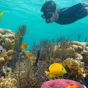 Explore PARADISE ISLAND FULL-DAY SNORKELING FROM HURGHADA for 1 days with Alacart Travel Egypt and discover unforgettable experiences - Photo 4