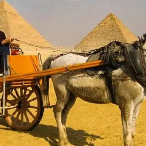 Explore FAMILY CRUISE for 10 days with Alacart Travel Egypt and discover unforgettable experiences - Photo 6
