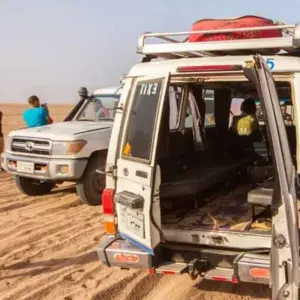 Explore SAFARI IN JEEP 4X4 DURING SUNSET for 1 days with Alacart Travel Egypt and discover unforgettable experiences - Photo 4