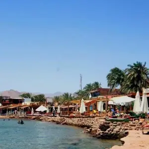 Explore DINNER IN THE MOUNTAINS for 1 days with Alacart Travel Egypt and discover unforgettable experiences - Photo 3