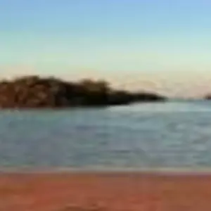 Explore NABQ PROTECTED AREA for 1 days with Alacart Travel Egypt and discover unforgettable experiences - Photo 2