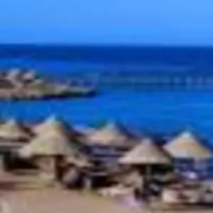 Explore NABQ PROTECTED AREA for 1 days with Alacart Travel Egypt and discover unforgettable experiences - Photo 3