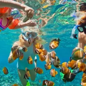 Explore PARADISE ISLAND FULL-DAY SNORKELING FROM HURGHADA for 1 days with Alacart Travel Egypt and discover unforgettable experiences - Photo 6