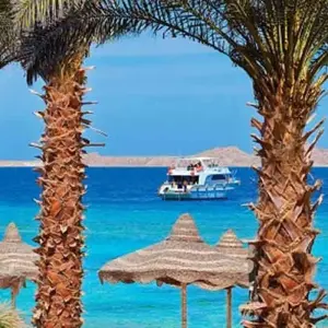 Explore DINNER IN THE MOUNTAINS for 1 days with Alacart Travel Egypt and discover unforgettable experiences - Photo 5