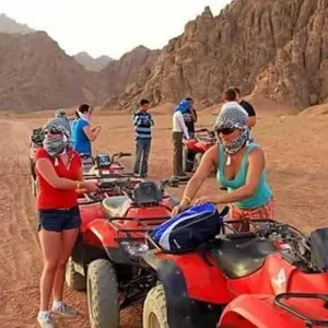 Explore SAFARI IN JEEP 4X4 DURING SUNSET for 1 days with Alacart Travel Egypt and discover unforgettable experiences - Photo 6