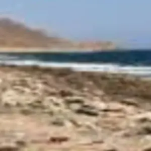 Explore NABQ PROTECTED AREA for 1 days with Alacart Travel Egypt and discover unforgettable experiences - Photo 4