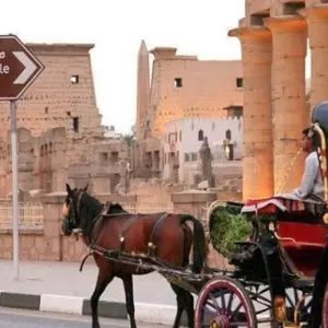 Explore ALL LUXOR SIGHTSEEING TOUR WEST & EAST BANKS for 1 days with Alacart Travel Egypt and discover unforgettable experiences - Photo 8
