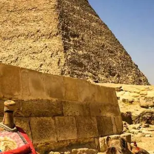 Explore NATURE EGYPT TOUR for 9 days with Alacart Travel Egypt and discover unforgettable experiences - Photo 6