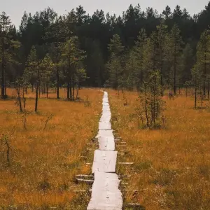 Explore Sacred Paths and Waters – A Walking Week in the Monasteries and Karelian Villages for 7 days with Aksyt Ammat Ltd and discover unforgettable experiences - Photo 5