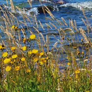 Explore Kayaking Week in Archipelago Sea National Park for 7 days with Aksyt Ammat Ltd and discover unforgettable experiences - Photo 5