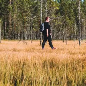 Explore Welcome To Pure Nature - All-inclusive Hiking Tour From National Park To National Park for 8 days with Aksyt Ammat Ltd and discover unforgettable experiences - Photo 8