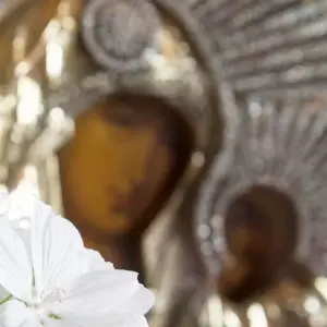 Explore Sacred Paths and Waters – A Walking Week in the Monasteries and Karelian Villages for 7 days with Aksyt Ammat Ltd and discover unforgettable experiences - Photo 9