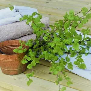 Explore Guesthouse To Guesthouse Karelia À La Carte Sauna Tour for 8 days with Aksyt Ammat Ltd and discover unforgettable experiences - Photo 9