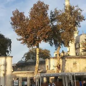 Explore Fethiye to Istanbul - Ancient Turkey Tour for 4 days with Alaturka Turkey – Tours & Blue Cruises and discover unforgettable experiences - Photo 2