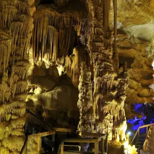 Explore Istanbul To Black Sea Private 4 Day Tour for 4 days with Alaturka Turkey – Tours & Blue Cruises and discover unforgettable experiences - Photo 6
