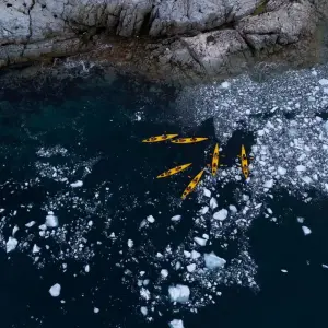 Explore Wild Isles of the South Atlantic for 16 days with Albatros Expeditions and discover unforgettable experiences - Photo 2