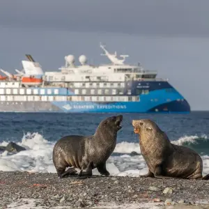 Explore Epic Falkland Islands, South Georgia & Antarctica for 19 days with Albatros Expeditions and discover unforgettable experiences - Photo 3