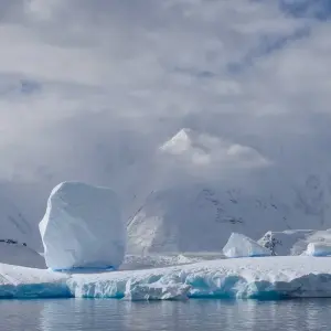 Explore Epic Falkland Islands, South Georgia & Antarctica for 19 days with Albatros Expeditions and discover unforgettable experiences - Photo 4