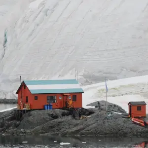 Explore South Shetland Islands and Antarctic Peninsula - Ocean Victory & Ocean Albatros vessels for 10 days with Albatros Expeditions and discover unforgettable experiences - Photo 3