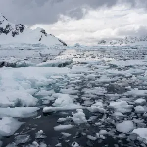 Explore Epic Falkland Islands, South Georgia & Antarctica for 19 days with Albatros Expeditions and discover unforgettable experiences - Photo 6