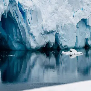 Explore Highlights of the Southern Spring 9D/8N for 9 days with Albatros Expeditions and discover unforgettable experiences - Photo 6