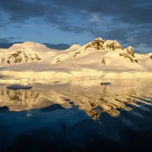 Explore Highlights of the Southern Spring 9D/8N for 9 days with Albatros Expeditions and discover unforgettable experiences - Photo 7