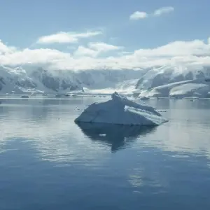 Explore South Shetland Islands and Antarctic Peninsula - Ocean Victory & Ocean Albatros vessels for 10 days with Albatros Expeditions and discover unforgettable experiences - Photo 5