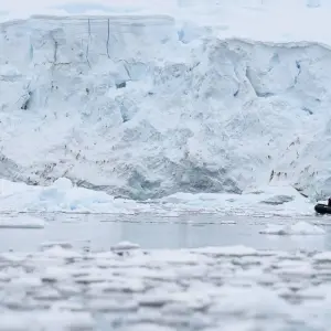 Explore Epic Falkland Islands, South Georgia & Antarctica for 19 days with Albatros Expeditions and discover unforgettable experiences - Photo 8